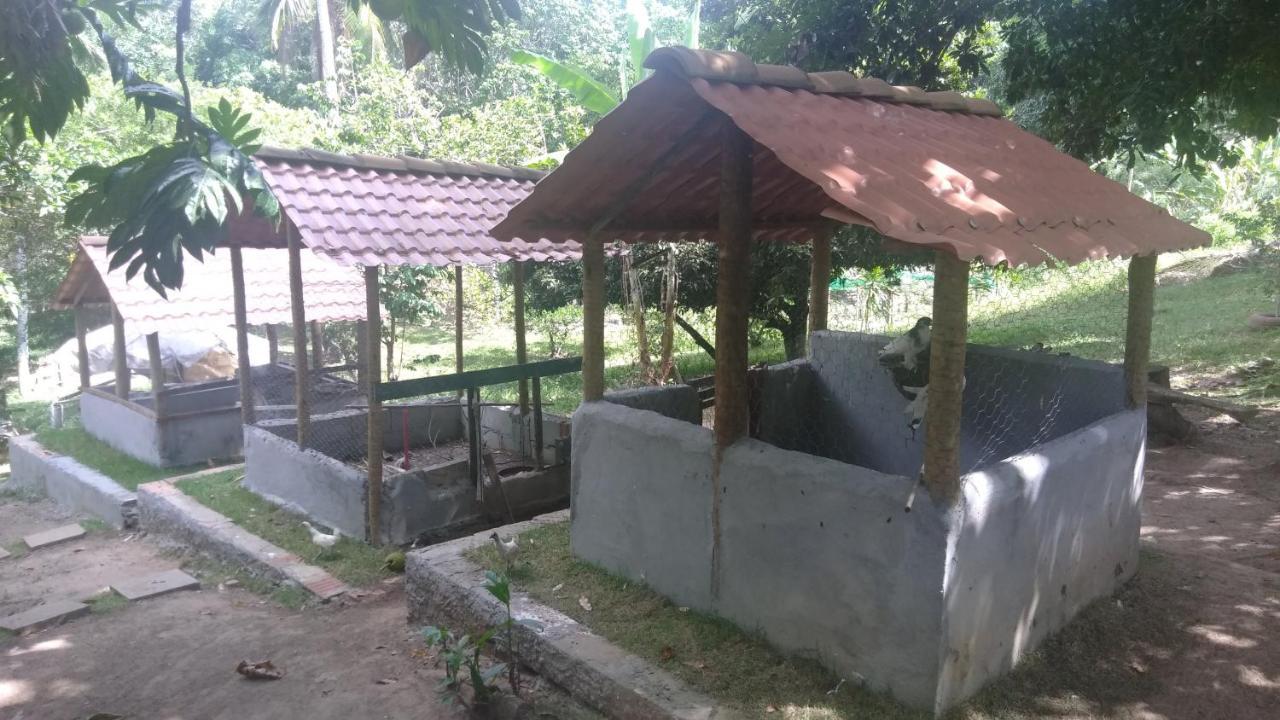 Hotel Fazenda Agua Da Prata Agri Turismo Camaçari Kültér fotó